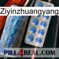 Ziyinzhuangyang 40